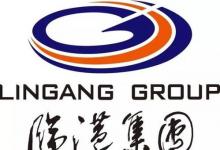 國企成推手　上海臨港崛起“東方芯港”
