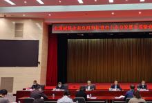 全國減輕企業(yè)負擔和促進中小企業(yè)發(fā)展專項督查正式啟動
