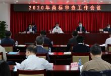 五年磨一劍 砥礪終成輝 ——“十三五”期間商標(biāo)信息化建設(shè)突飛猛進(jìn)