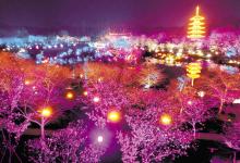 湖北全力推動疫后重振 譜寫高質(zhì)量發(fā)展新篇章