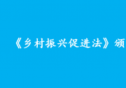 全面推進鄉(xiāng)村振興有了長久制度保障