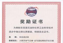 中國(guó)科學(xué)院力學(xué)研究所等共同申報(bào)的項(xiàng)目榮獲中國(guó)石油和化工自動(dòng)化行業(yè)科技進(jìn)步二等獎(jiǎng)