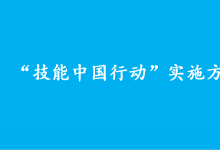 人力資源社會保障部關(guān)于印發(fā)“技能中國行動”實施方案的通知