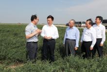 韓正在山東東營、濟南調(diào)研 