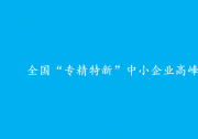 全國“專精特新”中小企業(yè)高峰論壇在長沙舉行