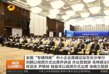 “十四五”期間中國將培育一萬家專精特新“小巨人”企業(yè)