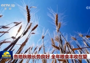 多國加快農(nóng)業(yè)數(shù)字化轉(zhuǎn)型