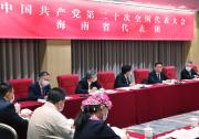 韓正：深刻領(lǐng)悟“兩個確立”的決定性意義 堅定不移推進中華民族偉大復興歷史進程|韓正參加黨的二十大海南省代表團討論