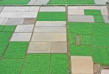 新型自動化科技助力縣域經濟特色產業(yè)高質量發(fā)展|連城：推進“藏糧于技” 護航春耕生產