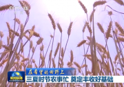 央視網(wǎng)：三夏時節(jié)農(nóng)事忙 奠定豐收好基礎(chǔ)|自動化科技賦能無人收割機(jī)、智慧農(nóng)業(yè)平臺