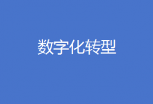 北京：這類企業(yè)數(shù)字化轉(zhuǎn)型，最高可獲100萬元補(bǔ)助