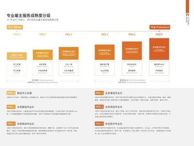 眾合云科“專業(yè)雇主服務(wù)成熟度分級”模型