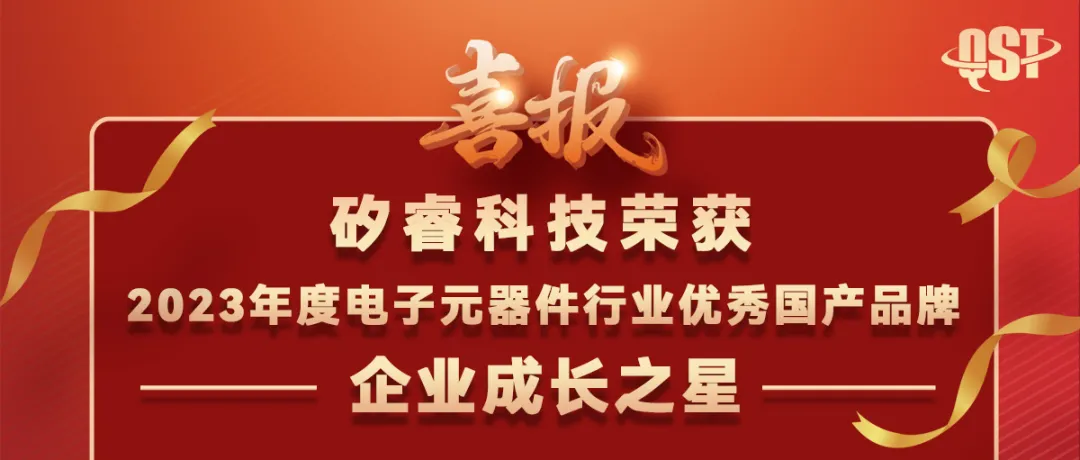 矽?？萍紭s獲2023年度電子元器件行業(yè)優(yōu)秀國(guó)產(chǎn)品牌企業(yè)成長(zhǎng)之星