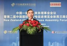 任鴻斌率中國企業(yè)家代表團(tuán)訪問新西蘭