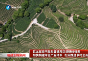 趙龍在南平政和縣建陽區(qū)調研 加快構建綠色產(chǎn)業(yè)體系 扎實推進鄉(xiāng)村全面振興