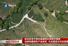 趙龍在南平政和縣建陽區(qū)調(diào)研 加快構(gòu)建綠色產(chǎn)業(yè)體系 扎實推進鄉(xiāng)村全面振興