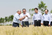 李強在河南調(diào)研時強調(diào)：扎實做好“三夏”工作確保夏糧豐收?推動農(nóng)業(yè)創(chuàng)新發(fā)展夯實現(xiàn)代化產(chǎn)業(yè)體系根基