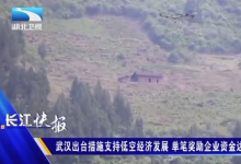 武漢出臺支持低空經(jīng)濟高質(zhì)量發(fā)展措施 單筆獎勵企業(yè)資金達1000萬元