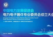 中國電力發(fā)展促進(jìn)會電力電子器件專業(yè)委員會成立大會在寧召開