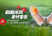 久久公益節(jié)，菲仕蘭發(fā)起捐步活動守護朱鹮家園