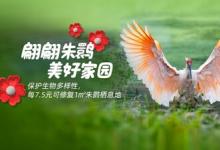 久久公益節(jié)，菲仕蘭發(fā)起捐步活動守護(hù)朱鹮家園