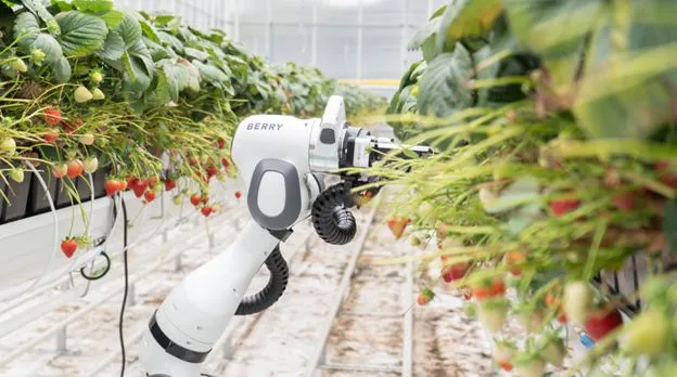 Franka Robotics 助力溫室農(nóng)業(yè)自動化!