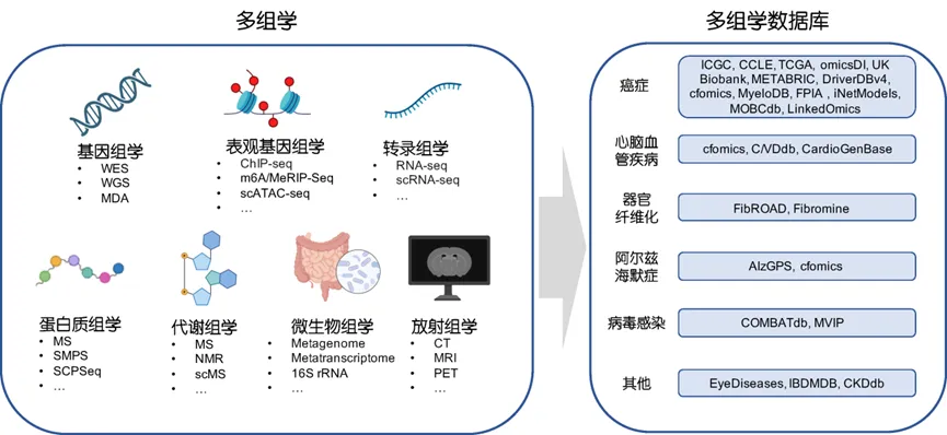科學(xué)通報|清華大學(xué)魯志團(tuán)隊綜述復(fù)雜疾病中多組學(xué)多模態(tài)數(shù)據(jù)的生物信息學(xué)研究進(jìn)展