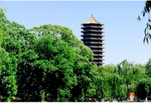 樂惠驍：教育自動化的困境與出路