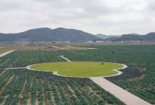 高質(zhì)量發(fā)展調(diào)研行丨浙江岱山：智慧農(nóng)業(yè)釋放蓬勃潛能
