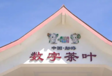 共享數(shù)字紅利——勐海深耕茶產(chǎn)業(yè)，電商助力茶葉數(shù)字化轉(zhuǎn)型