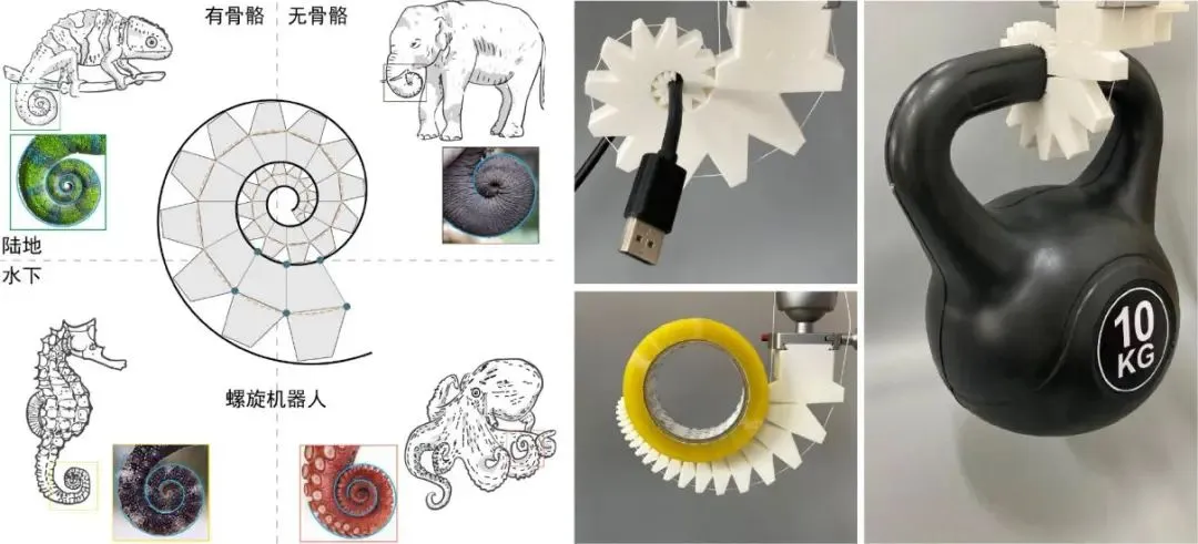 新型螺旋機(jī)器人，讓“科幻走進(jìn)現(xiàn)實(shí)”