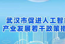 重磅！武漢市促進(jìn)人工智能產(chǎn)業(yè)發(fā)展若干政策措施發(fā)布