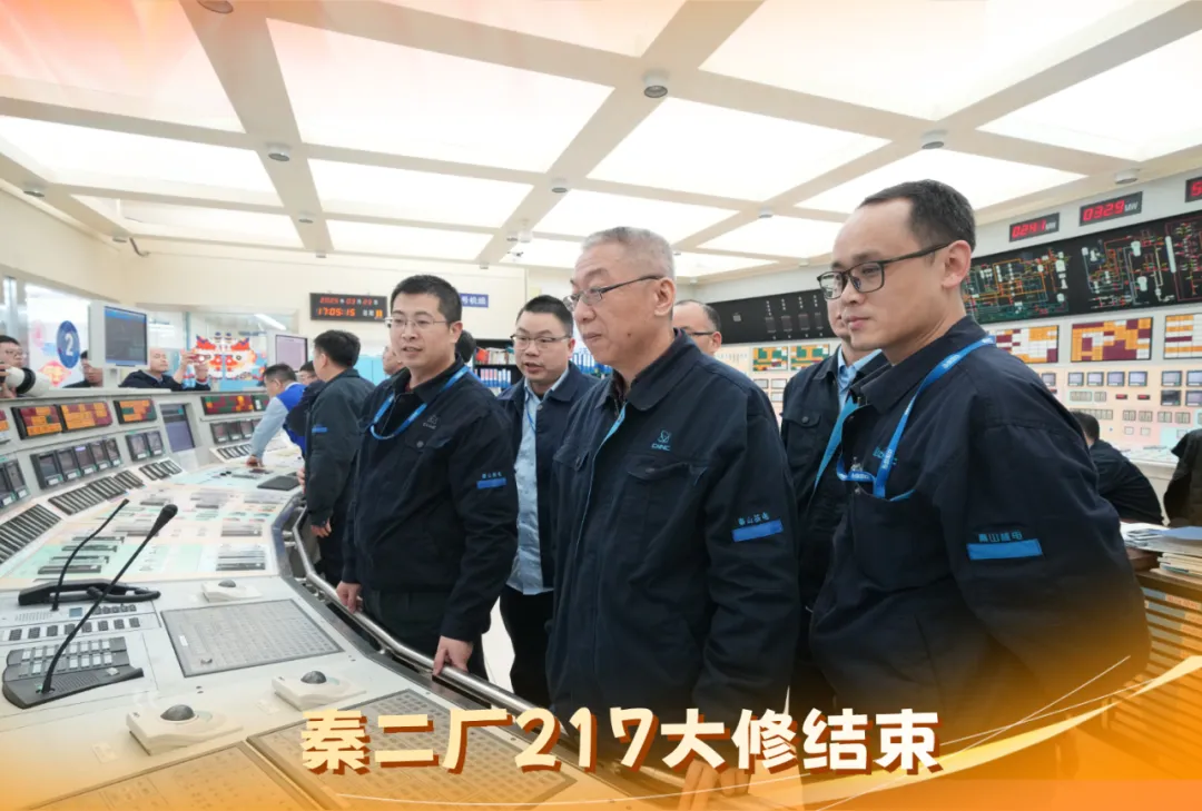 中核集團(tuán)自主研發(fā)的安全級DCS平臺——龍鱗系統(tǒng)首次在在役電廠的規(guī)模應(yīng)用  