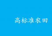 鼓勵(lì)高標(biāo)準(zhǔn)農(nóng)田經(jīng)營(yíng)主體自主推進(jìn)水肥一體化、智能灌溉等自動(dòng)化科技 |《逐步把永久基本農(nóng)田建成高標(biāo)準(zhǔn)農(nóng)田實(shí)施方案》