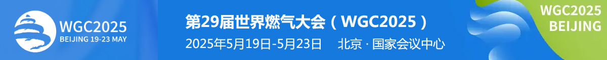 世界燃?xì)獯髸?huì)