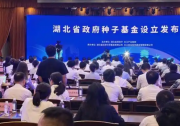 打造種子基金群，湖北重構(gòu)“創(chuàng)投+產(chǎn)投”政府引導(dǎo)基金體系