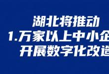 湖北將推動(dòng)1萬(wàn)家以上中小企業(yè)開展數(shù)字化改造|卓越級(jí)智能工廠達(dá)到50家以上|關(guān)鍵工序數(shù)控化率達(dá)到75%