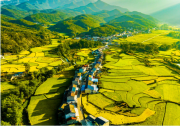 《湖北省加快推進(jìn)中小企業(yè)數(shù)字化轉(zhuǎn)型專項(xiàng)行動(dòng)方案》印發(fā)|打造全國(guó)中小企業(yè)數(shù)字化轉(zhuǎn)型先進(jìn)省份
