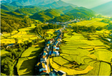 《湖北省加快推進(jìn)中小企業(yè)數(shù)字化轉(zhuǎn)型專項(xiàng)行動(dòng)方案》印發(fā)|打造全國(guó)中小企業(yè)數(shù)字化轉(zhuǎn)型先進(jìn)省份