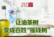 習(xí)近平總書記關(guān)切事丨讓油茶樹變成百姓“搖錢樹”——把地方特色產(chǎn)業(yè)做優(yōu)做強(qiáng)之三