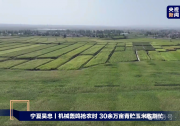  大禹節(jié)水以智慧農(nóng)業(yè)技術(shù)，為 30 萬畝青貯玉米豐收 “添動力”