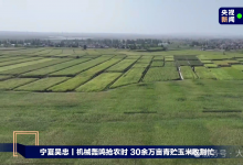  大禹節(jié)水以智慧農(nóng)業(yè)技術(shù)，為 30 萬畝青貯玉米豐收 “添動力”