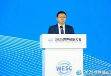 國際可再生能源署在寧德發(fā)布其全球首份儲能專題報告完整版