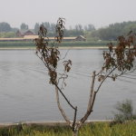 我國將興建首個(gè)大數(shù)據(jù)流通與交易技術(shù)國家工程實(shí)驗(yàn)室