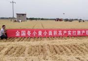 我國大規(guī)模麥收基本結(jié)束 機收率96%創(chuàng)新高