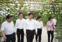 習(xí)近平：黨中央制定的政策好不好，要看鄉(xiāng)親們是哭還是笑