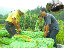 農(nóng)業(yè)自動化如何讓農(nóng)民幸福起來？