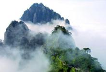 安徽一農(nóng)民發(fā)明自動剝筍機(jī)