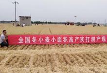 我國大規(guī)模麥收基本結(jié)束 機收率96%創(chuàng)新高