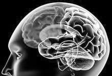 美國科學(xué)家繪制出一幅超精細的老鼠大腦的3D圖譜